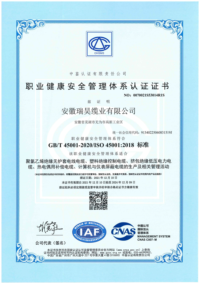 職業(yè)健康安 全體系 